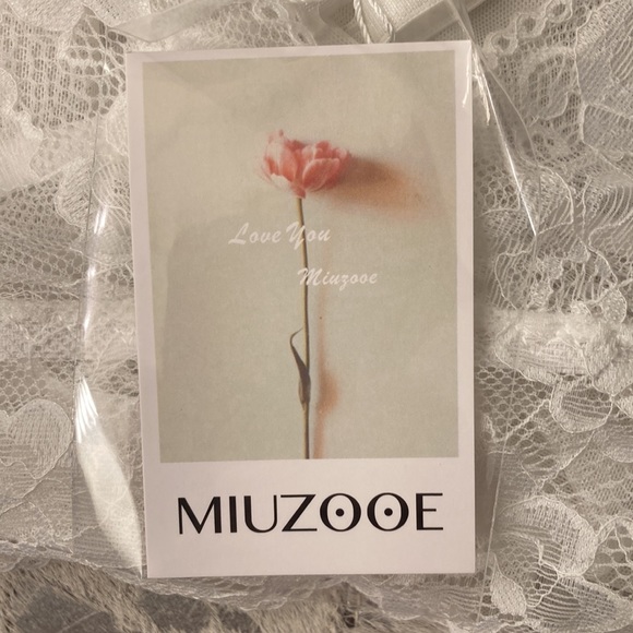 NWT Bridal Lingerie Sz L - Picture 5 of 7